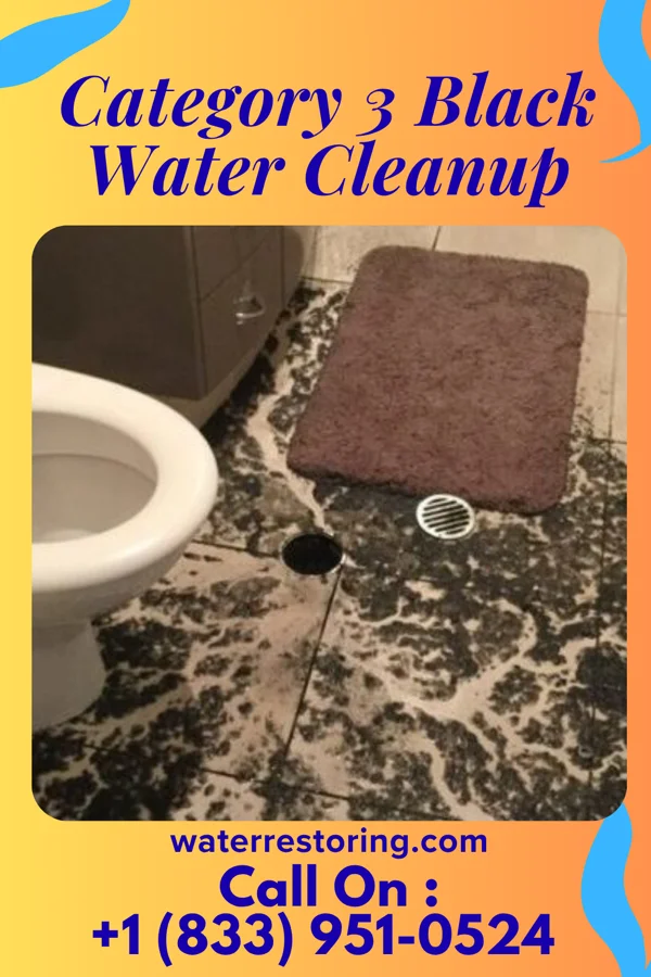Category 3 Black Water Cleanup in Runnelstown, MS