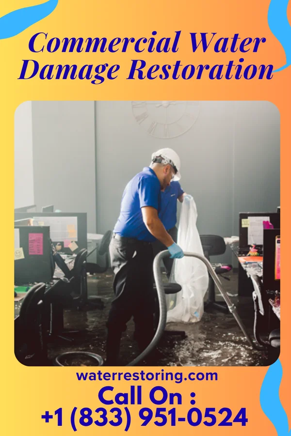 Commercial Water Damage Restoration in Runnelstown, MS