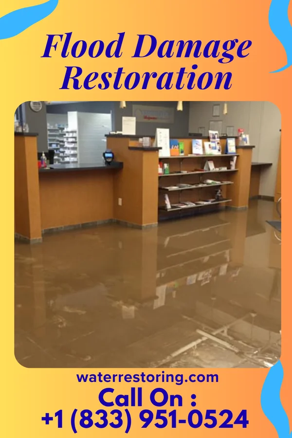 Flood Damage Restoration in Runnelstown, MS