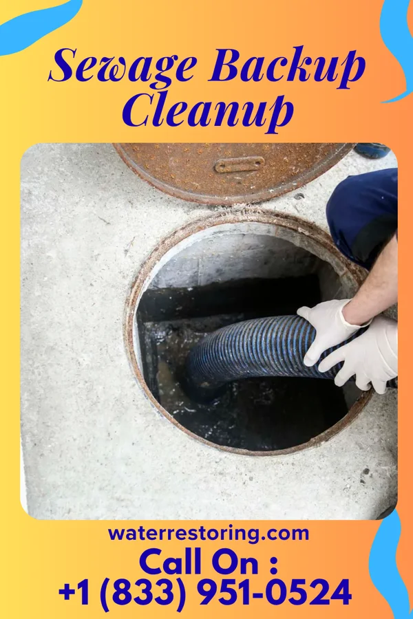 Sewage Backup Cleanup in Runnelstown, MS