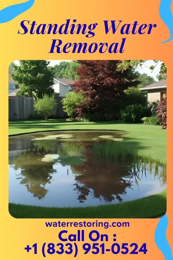 Standing Water Removal in Runnelstown, MS